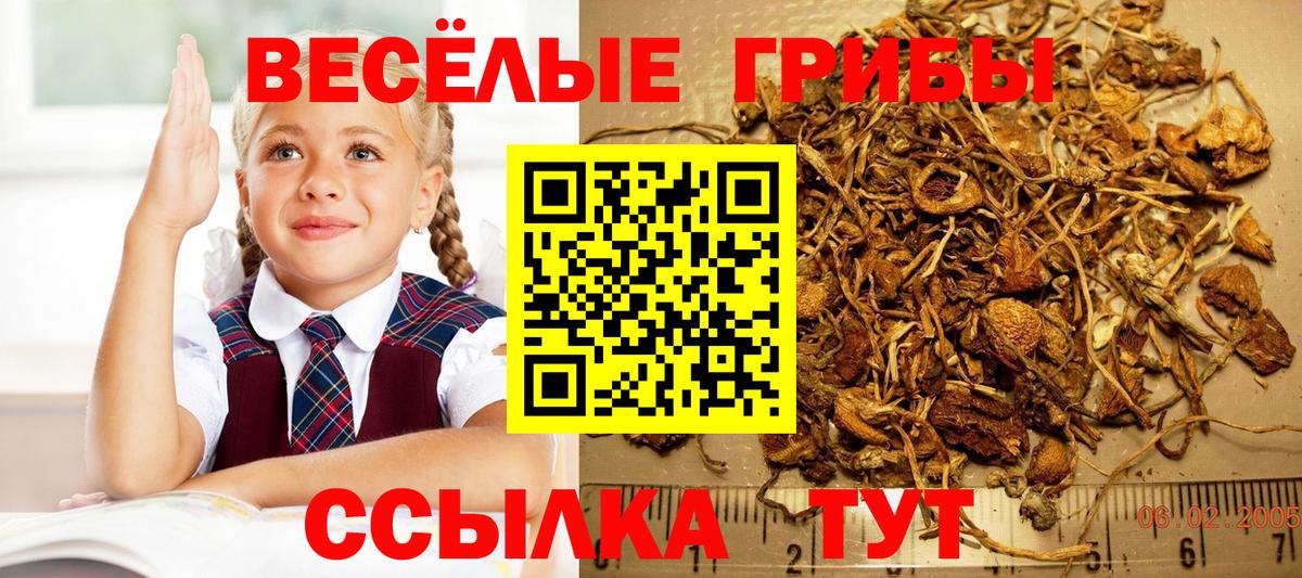 Псилоцибиновые грибы MAGIC MUSHROOMS Лесосибирск